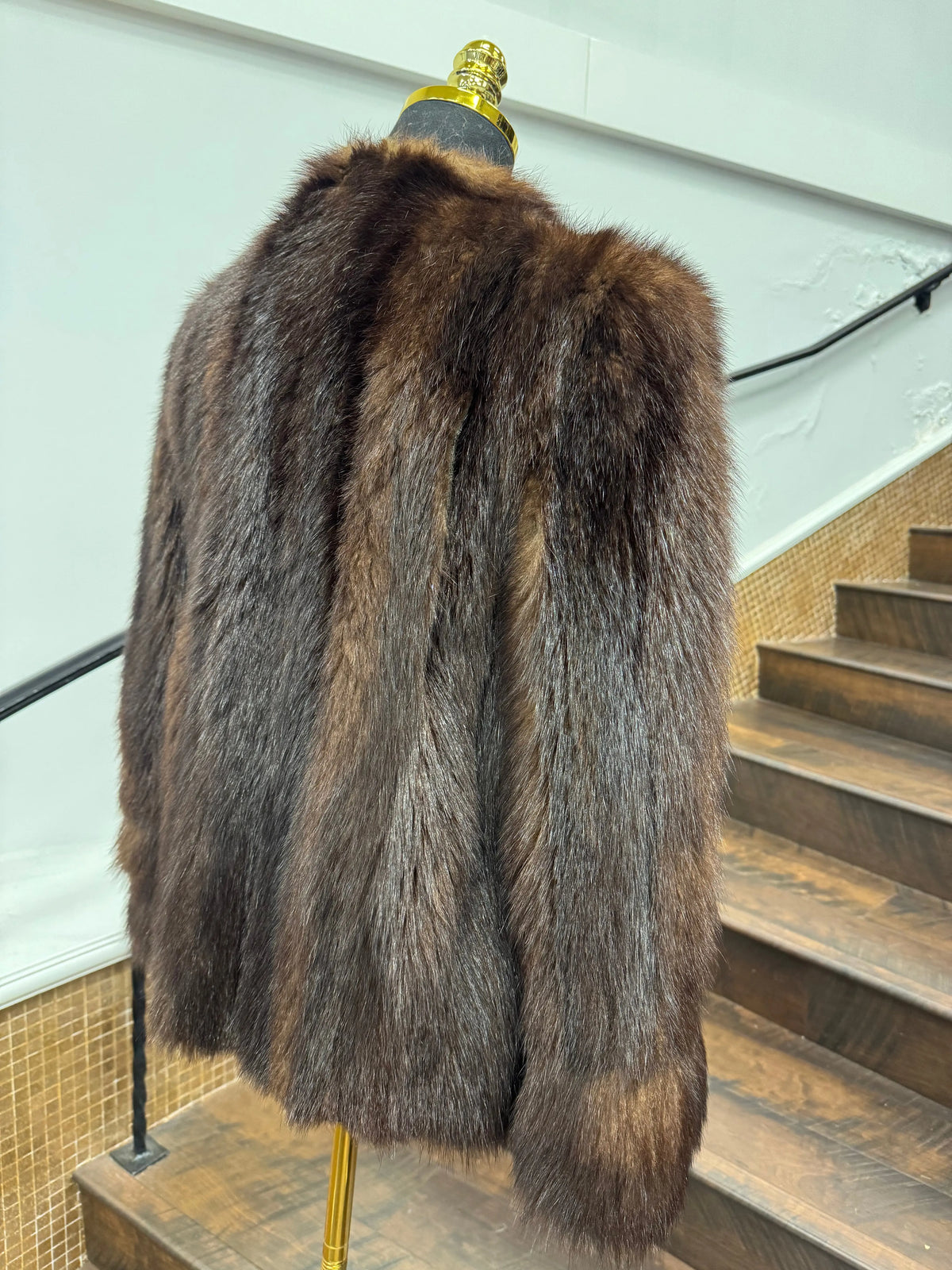 Vintage Skunk Jacket