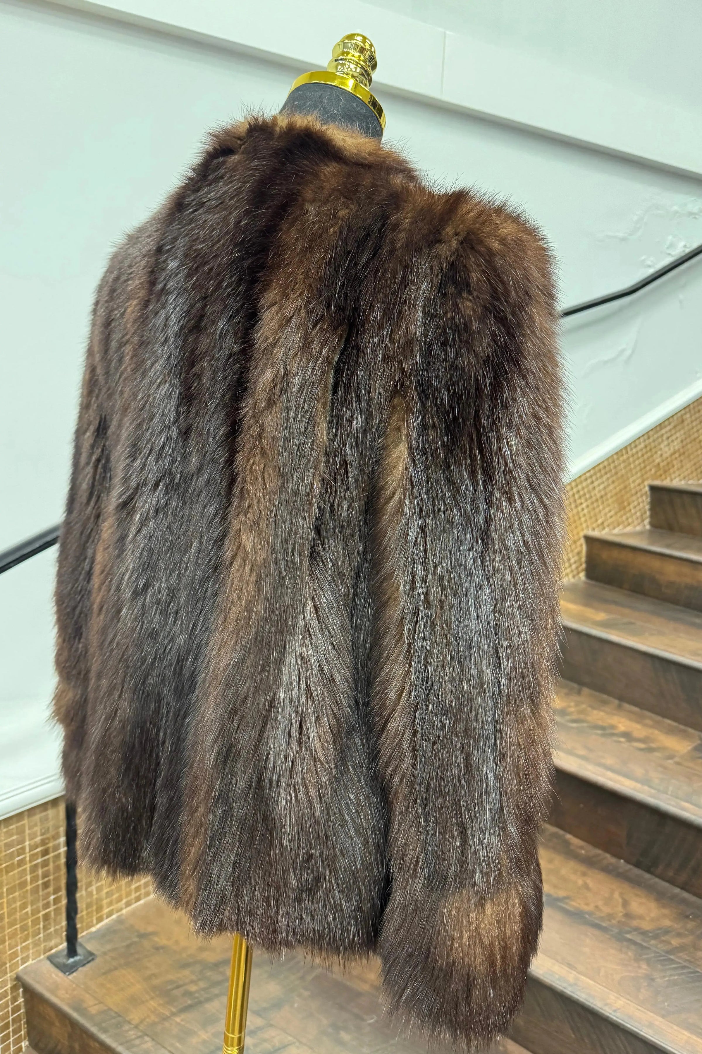 Vintage Skunk Jacket